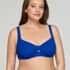 Solid Line- Bikinitop - Blue Bl